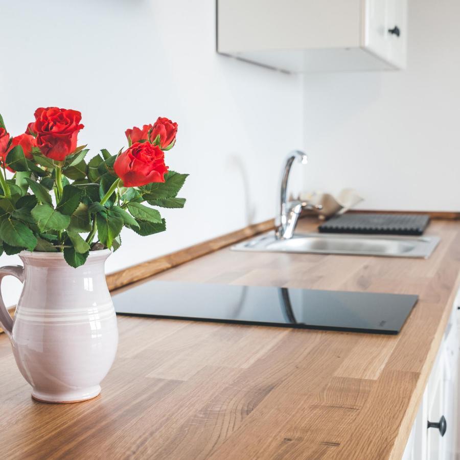 Apartmaji Aucin - Brda Kojsko エクステリア 写真