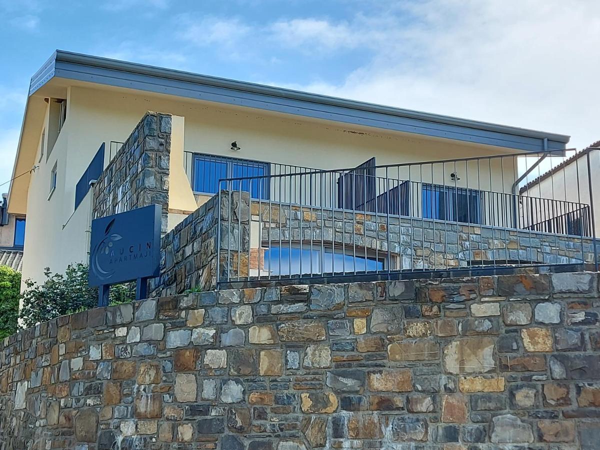 Apartmaji Aucin - Brda Kojsko エクステリア 写真
