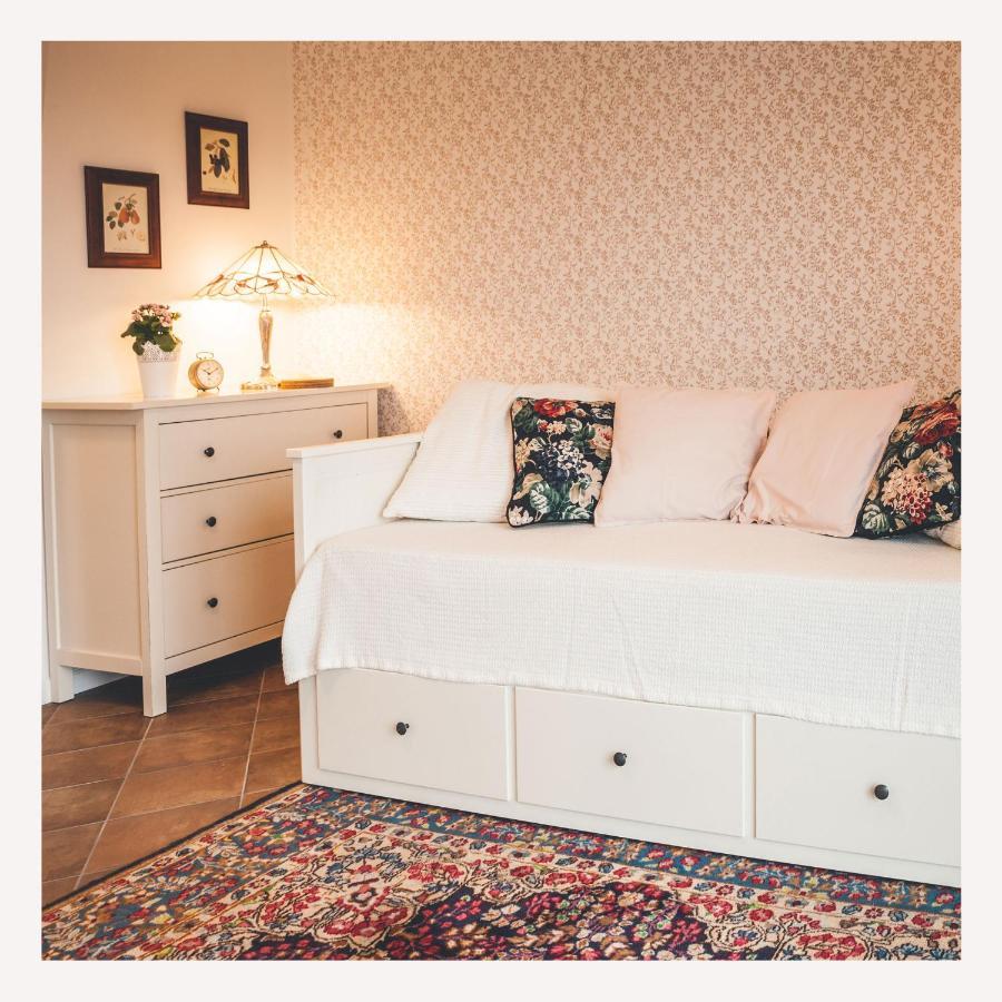 Apartmaji Aucin - Brda Kojsko エクステリア 写真